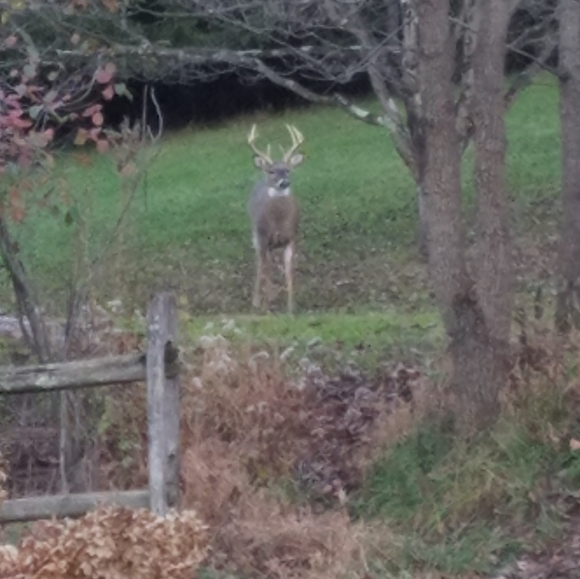 Meet your Posher, Janet - Picture 9 of 12